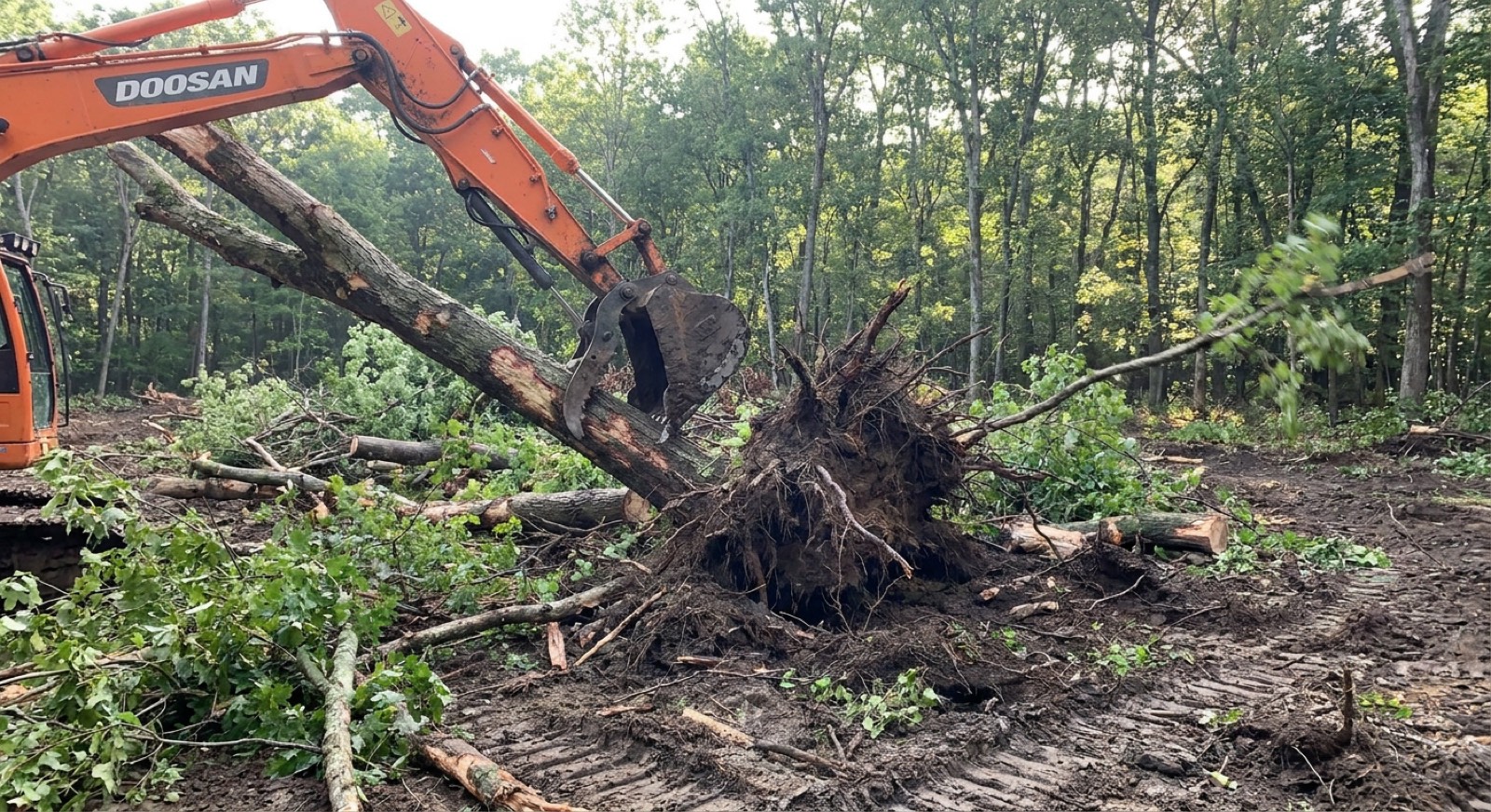 McLean Demolition excavator clearing a wooded lot in Fairfax County